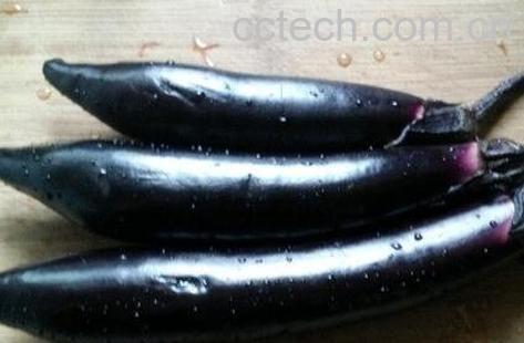 紫茄子和什么水果相克 紫茄子搭配什么吃最好-0