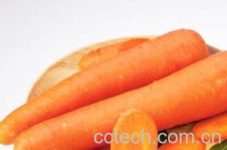 胡萝卜泡水喝的功效与作用-1