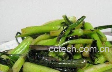 菜苔的药用价值和营养价值-1