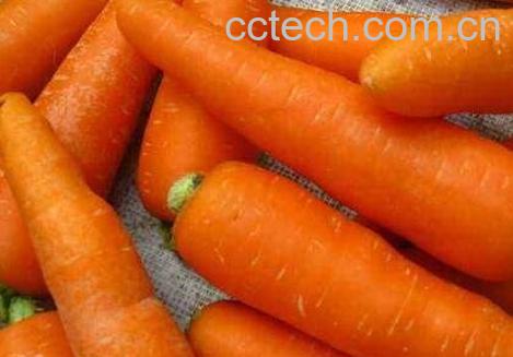 胡萝卜怎么吃最有营养 胡萝卜的吃法技巧-0