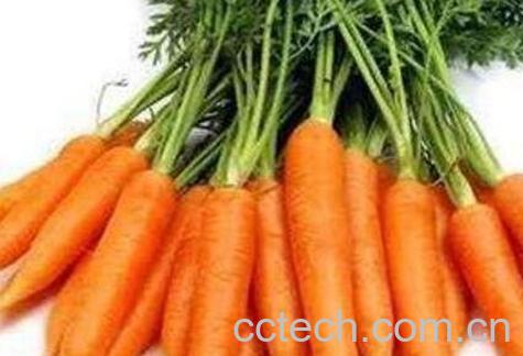 胡萝卜怎么吃最有营养 胡萝卜的吃法技巧-1