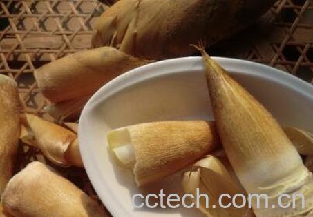 专业保存鲜冬笋的办法-0