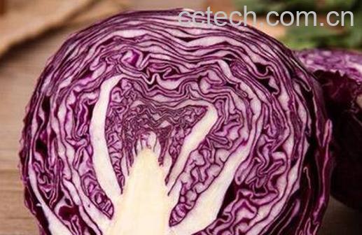 紫卷心菜与什么相克 紫卷心菜搭配什么食材好-0