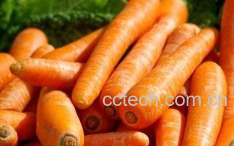 胡萝卜的功效与作用-0