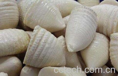 冬笋的营养价值-1