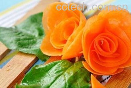 胡萝卜花的功效与作用及制作方法-1