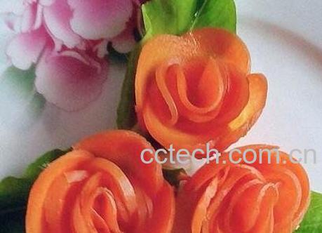 胡萝卜花的功效与作用及制作方法-0