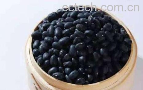 黑豆怎么吃有营养-1