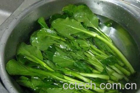 白灼菜苔怎么做好吃-1