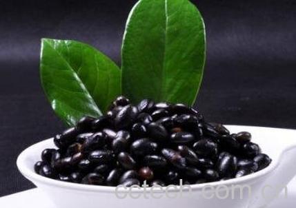 黑豆怎么吃有营养-0