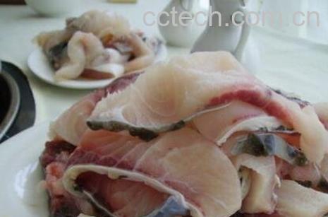 白骨鱼的功效与作用-1