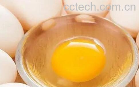 鸡子黄功效与作用及禁忌-1