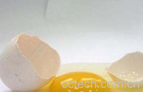 鸡子黄功效与作用及禁忌-0