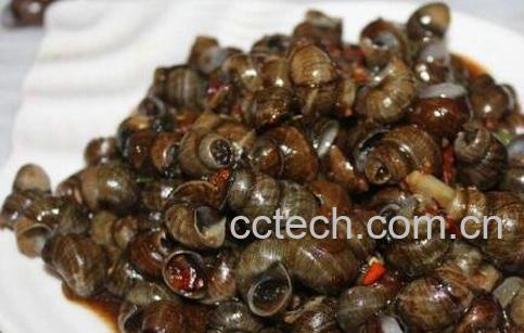  田螺怎么洗最快最干净-0