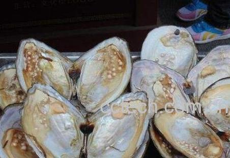 河蚌怎么洗干净 清洗河蚌的技巧-0