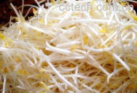 绿豆芽的功效与作用-1