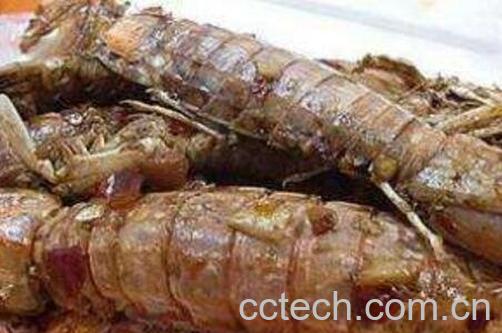 大龙虾怎么洗干净 -1