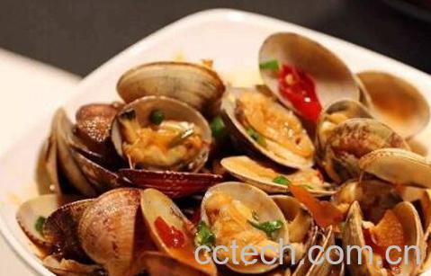 花蛤的营养价值及功效-0