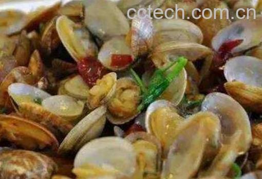 花蛤的营养价值及功效-1