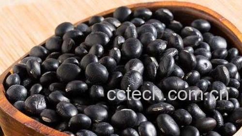 黑豆-1