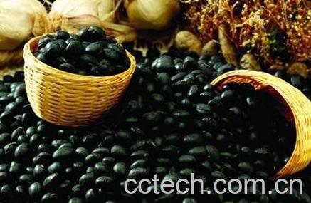 黑豆怎么吃最补肾-0