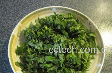 藿香菜有什么功效-1