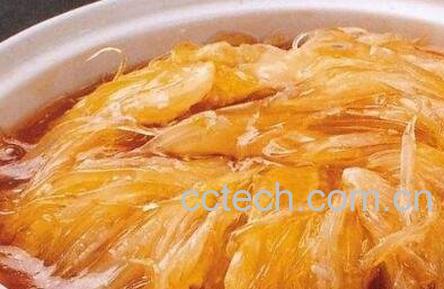 鱼翅有什么功效-1