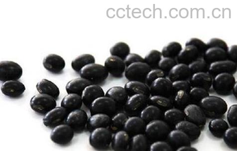 醋泡黑豆的功效与作用 醋泡黑豆真的能治疗白发吗-0