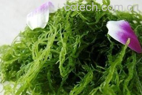 火殿龙须的功效与作用及禁忌-0