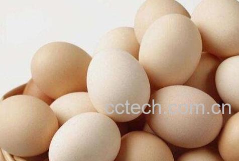 鸡蛋相克的食品-1