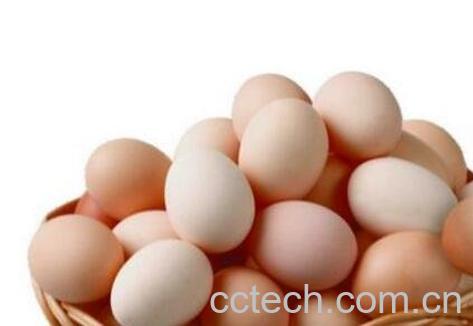 鸡蛋相克的食品-0