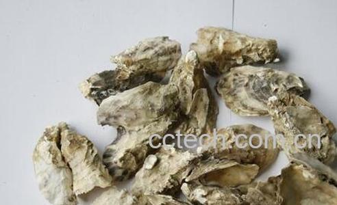 牡蛎生用和煅用的区别-0