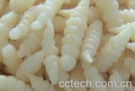 螺丝菜的功效与作用-0