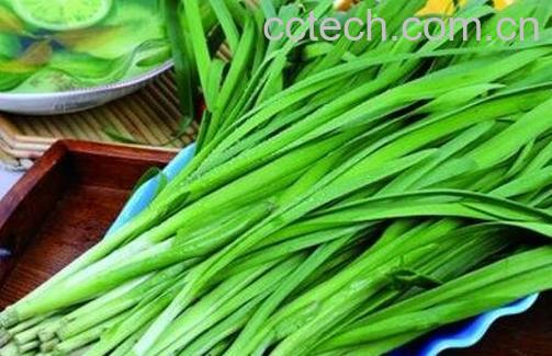 韭菜与什么食物相生相克-1