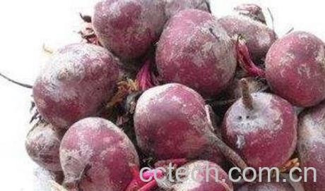 紫萝卜吃了有什么好处-0