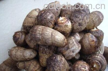 山芋头的药用价值和功效-1