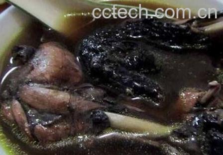 当归黑豆乌鸡汤的功效作用-0