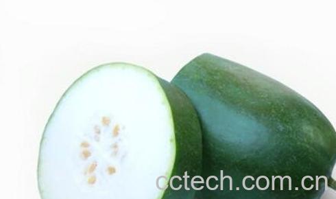 冬瓜和什么相克 冬瓜不能和什么一起吃-0