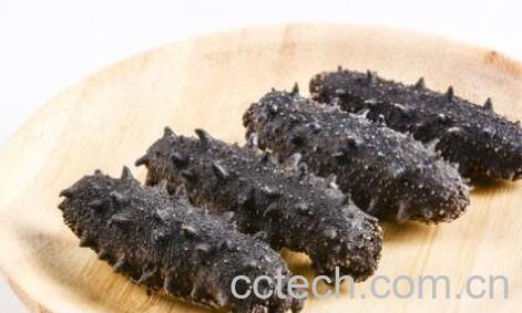 怎么发海参 发海参的最佳方法-0