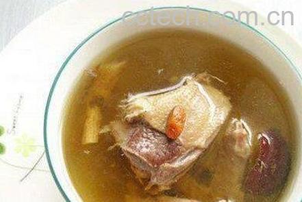 老鸽汤的功效与作用-0