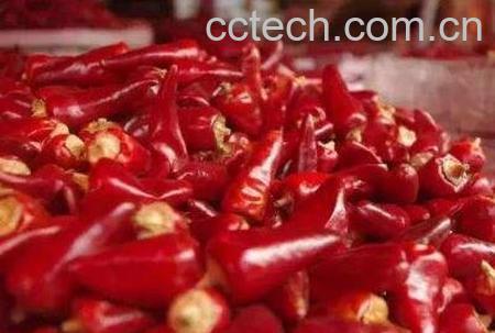 怎样腌制子弹头辣椒-0