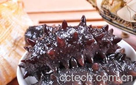 泡发海参最简单的方法-0