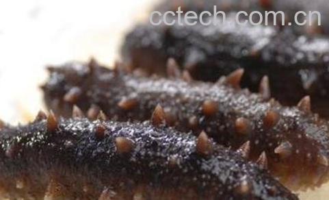 泡发海参最简单的方法-1