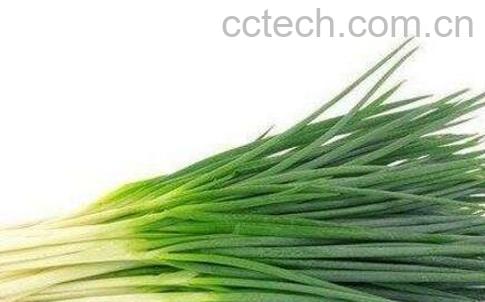 绿葱叶怎样腌制-1