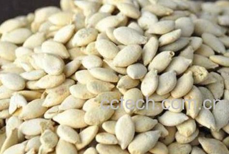 冬瓜子的功效与作用 冬瓜子怎么用美容-0