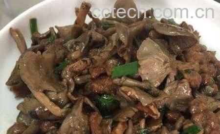 东北油蘑怎样腌制-0