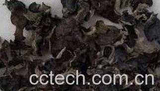 果蔬百科黑木耳-0