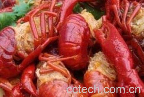 怎样腌制龙虾 虾米怎样腌制-0