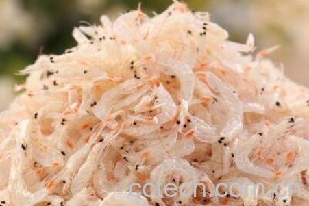 怎样腌制龙虾 虾米怎样腌制-1