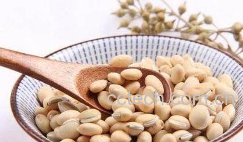 新鲜的白扁豆怎么吃-1